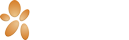 Logo Exultar